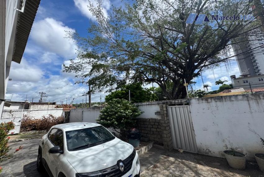 Tamarineira-5