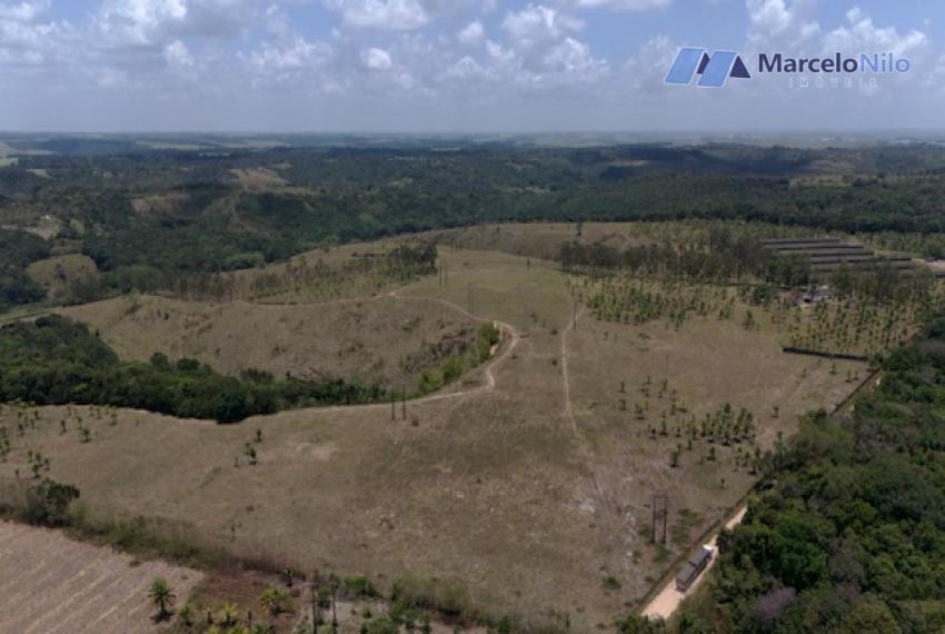 Fazenda em Igarassu Com 160 Hectares