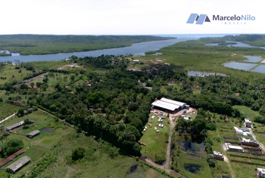 Área de 03 Hectares 100% Plano em Igarassu